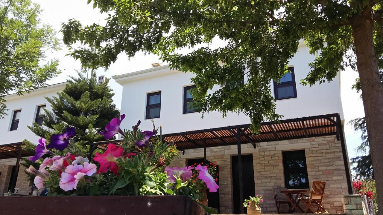 Apartment Athina Sivota (Epirus)